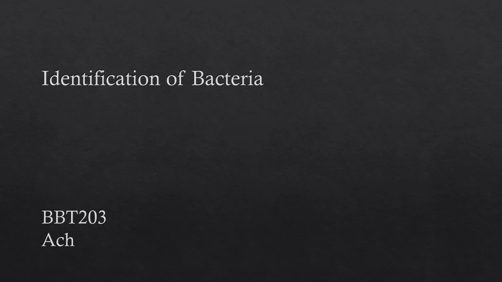 identification of bacteria bbt203 ach