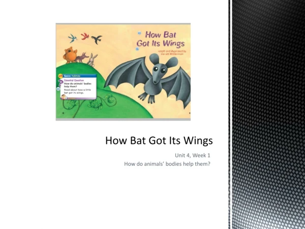 How Bat Got Its Wings