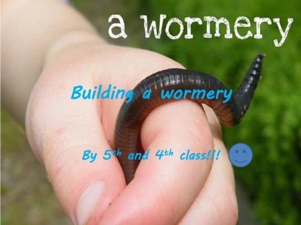 Building a wormery