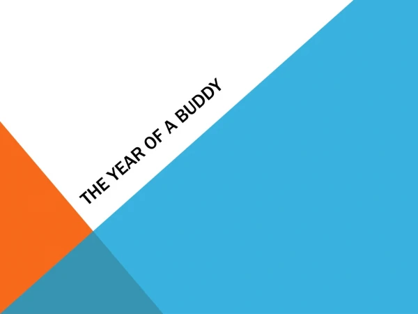 The year of a buddy