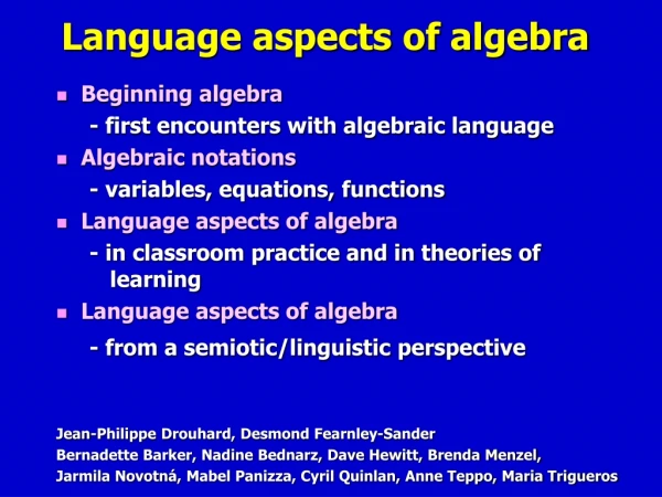 Language aspects of algebra