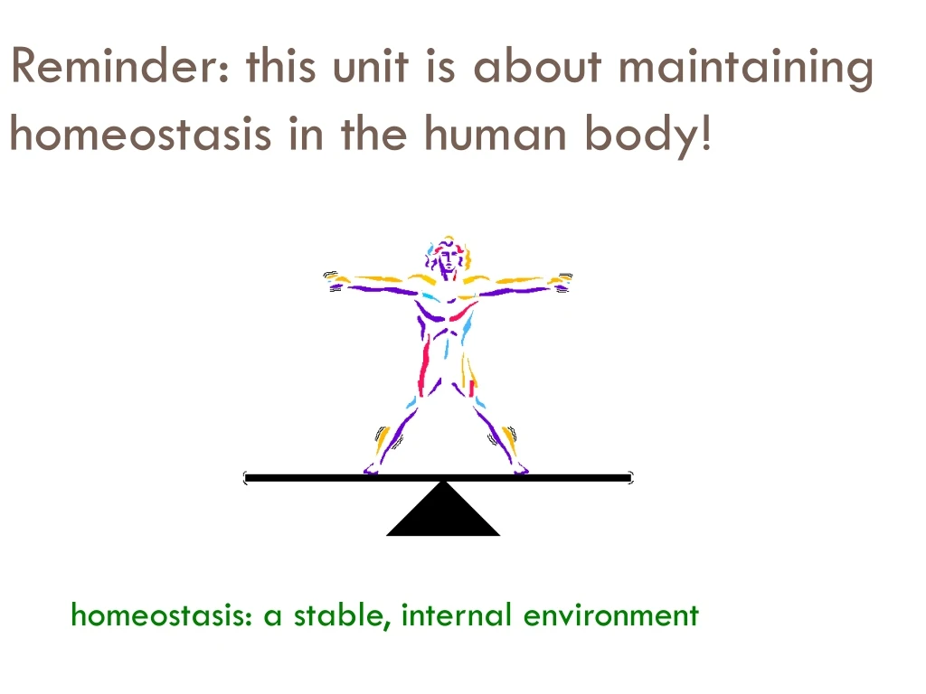 reminder this unit is about maintaining homeostasis in the human body