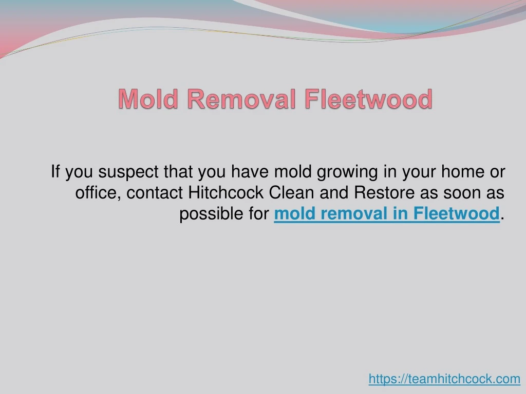 mold removal fleetwood