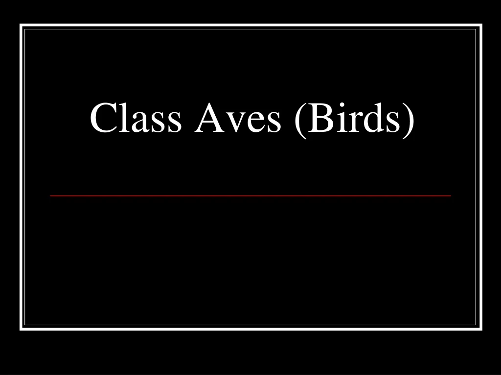 class aves birds