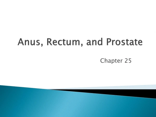 Anus, Rectum, and Prostate