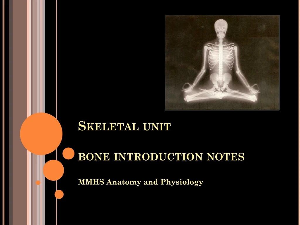 skeletal unit bone introduction notes