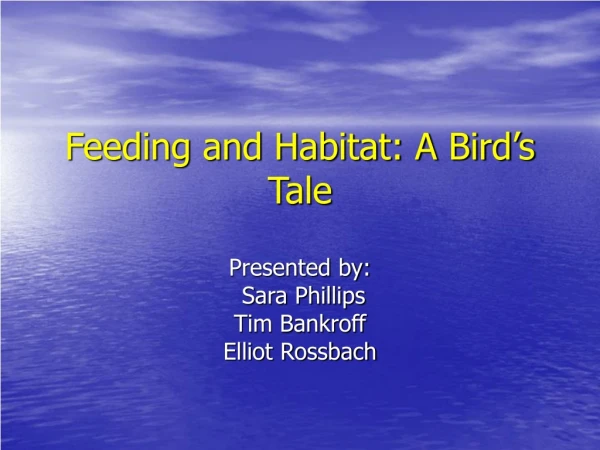 Feeding and Habitat: A Bird’s Tale