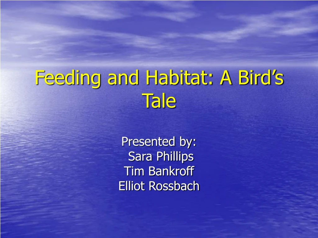 feeding and habitat a bird s tale