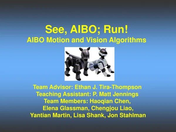 See, AIBO; Run! AIBO Motion and Vision Algorithms
