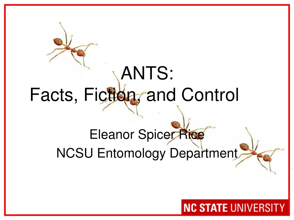 ants facts fiction and control