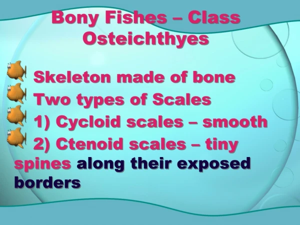 Bony Fishes – Class Osteichthyes