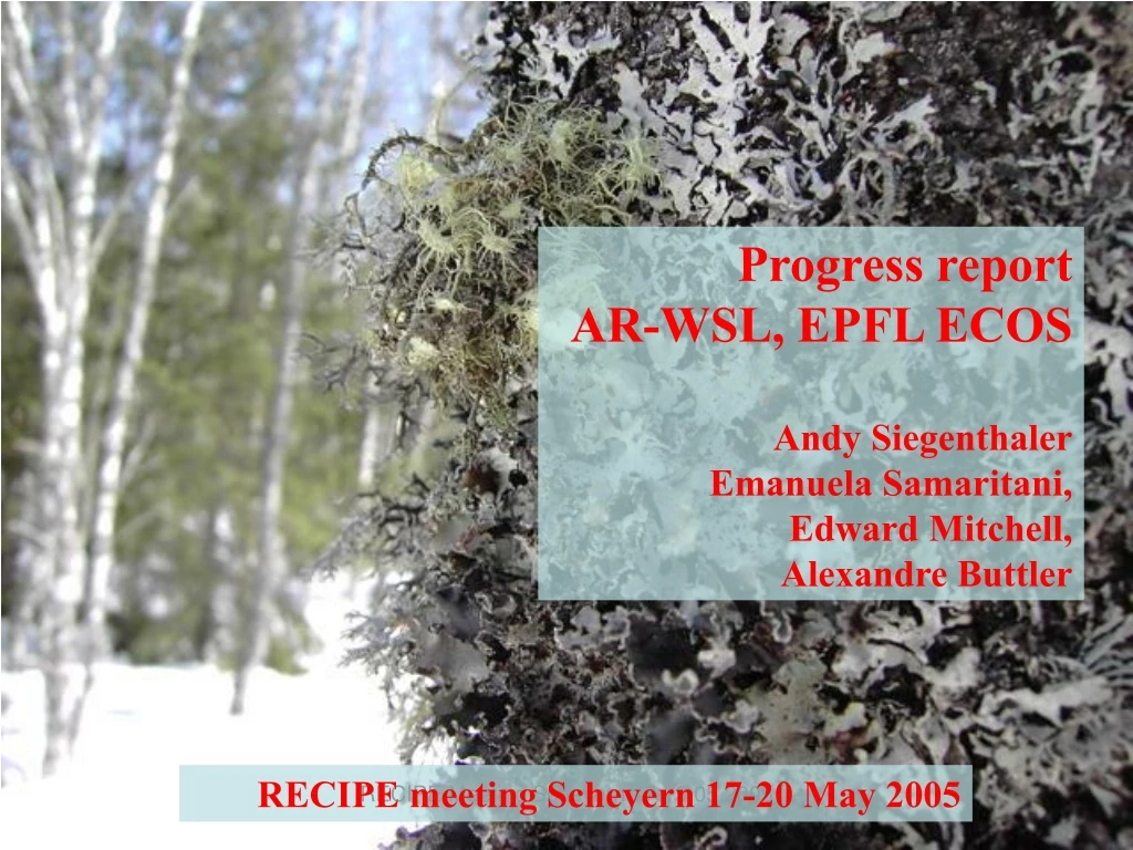 progress report ar wsl epfl ecos andy