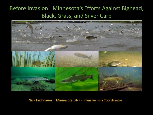 Before Invasion: Minnesota’s Efforts Against Bighead, Black, Grass, and Silver Carp
