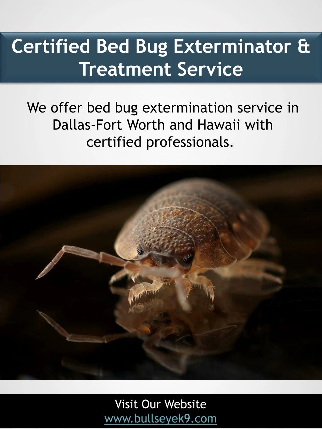 certified bed bug exterminator treatment service