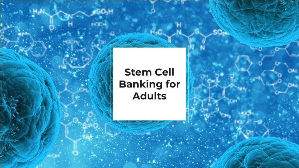 stem cell banking for adults