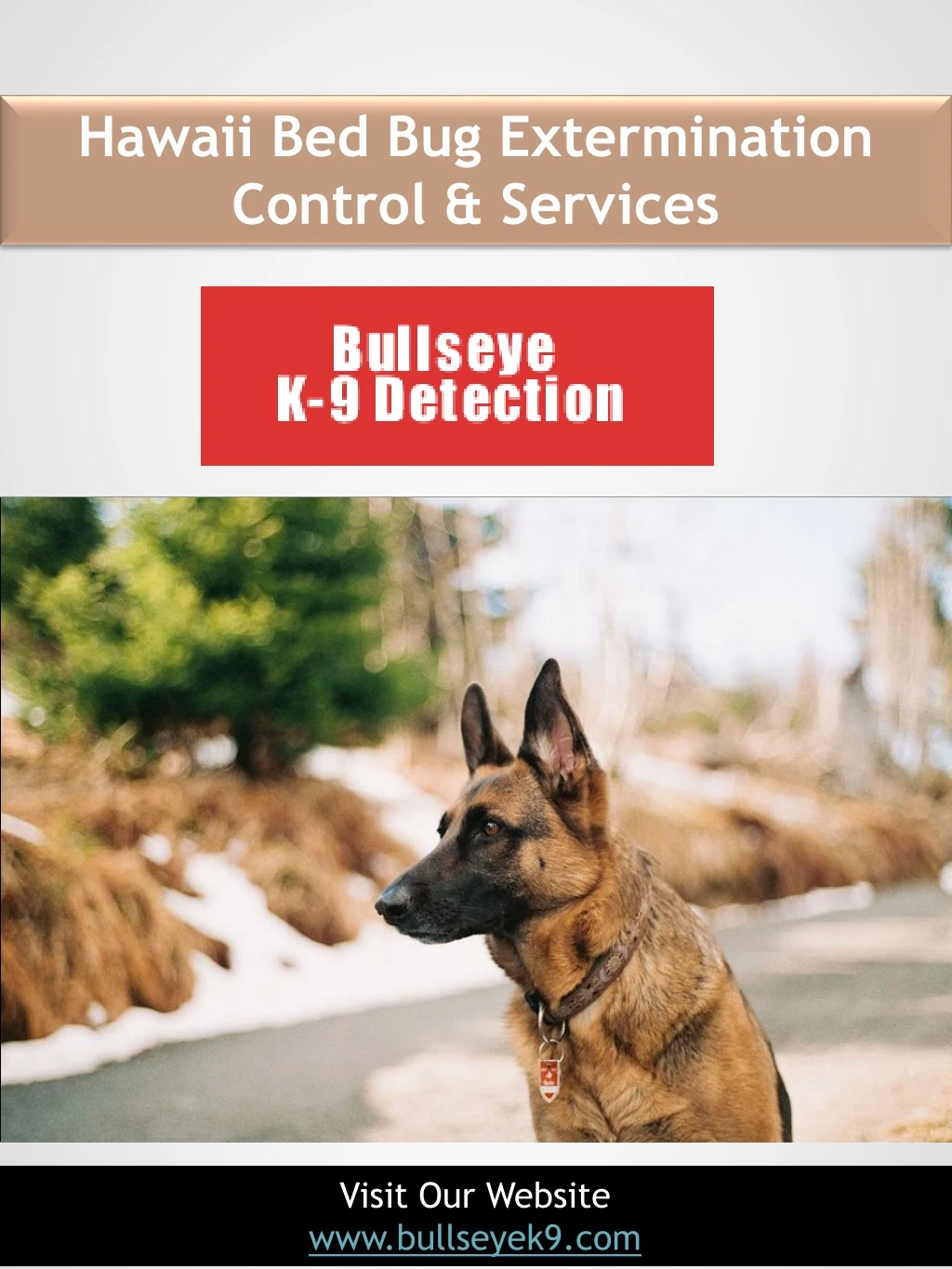 hawaii bed bug extermination control services