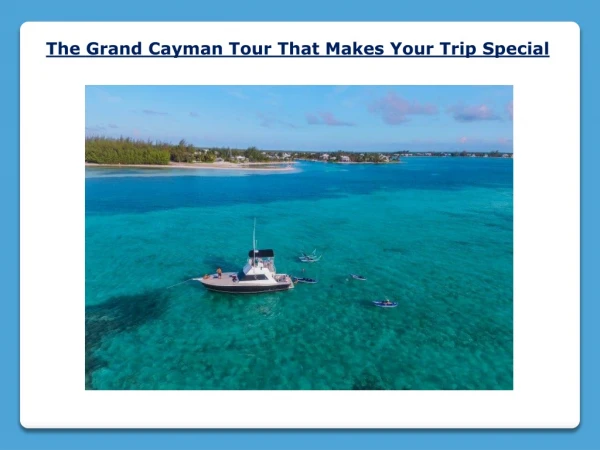 The Grand Cayman Tour That Makes Your Trip Special