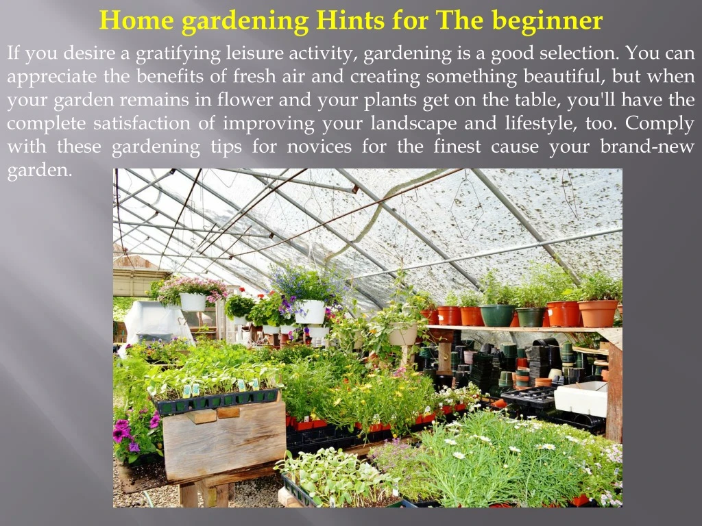 home gardening hints for the beginner