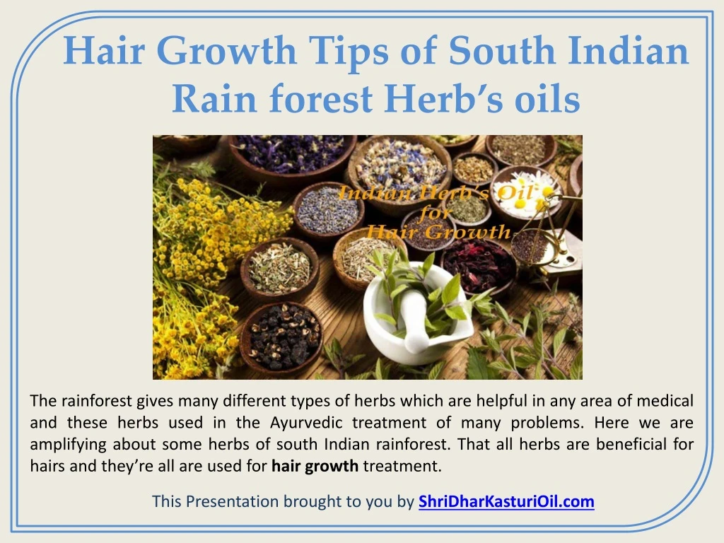 hair growth tips of south indian rain forest herb