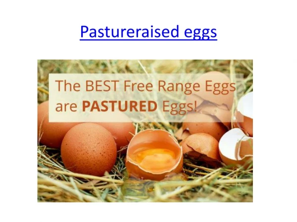 Pastureraised eggs - Happy hens