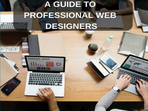 A Guide To Professional Web Designer