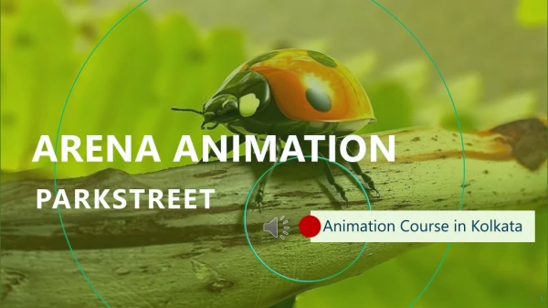 Animation Course in Kolkata - Arena Animation Parkstreet