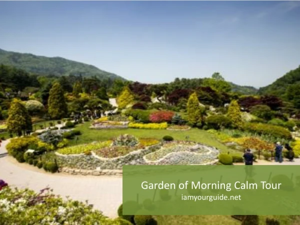 Garden of Morning Calm Tour