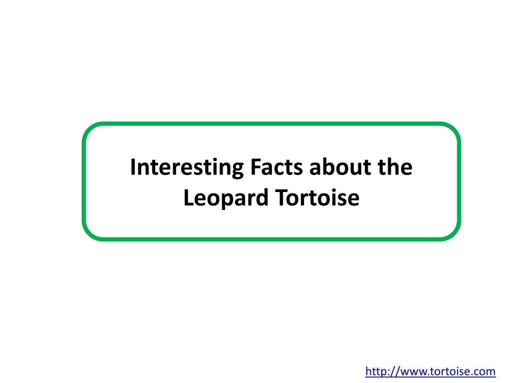 interesting facts about the leopard tortoise