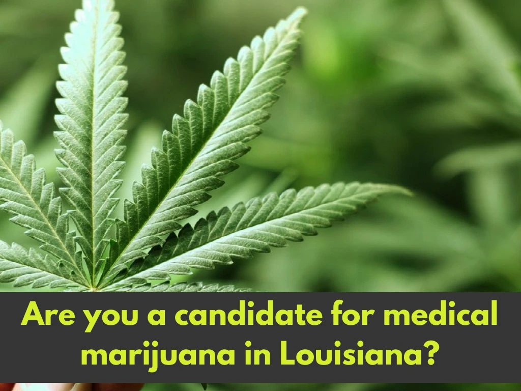are you a candidate for medical marijuana