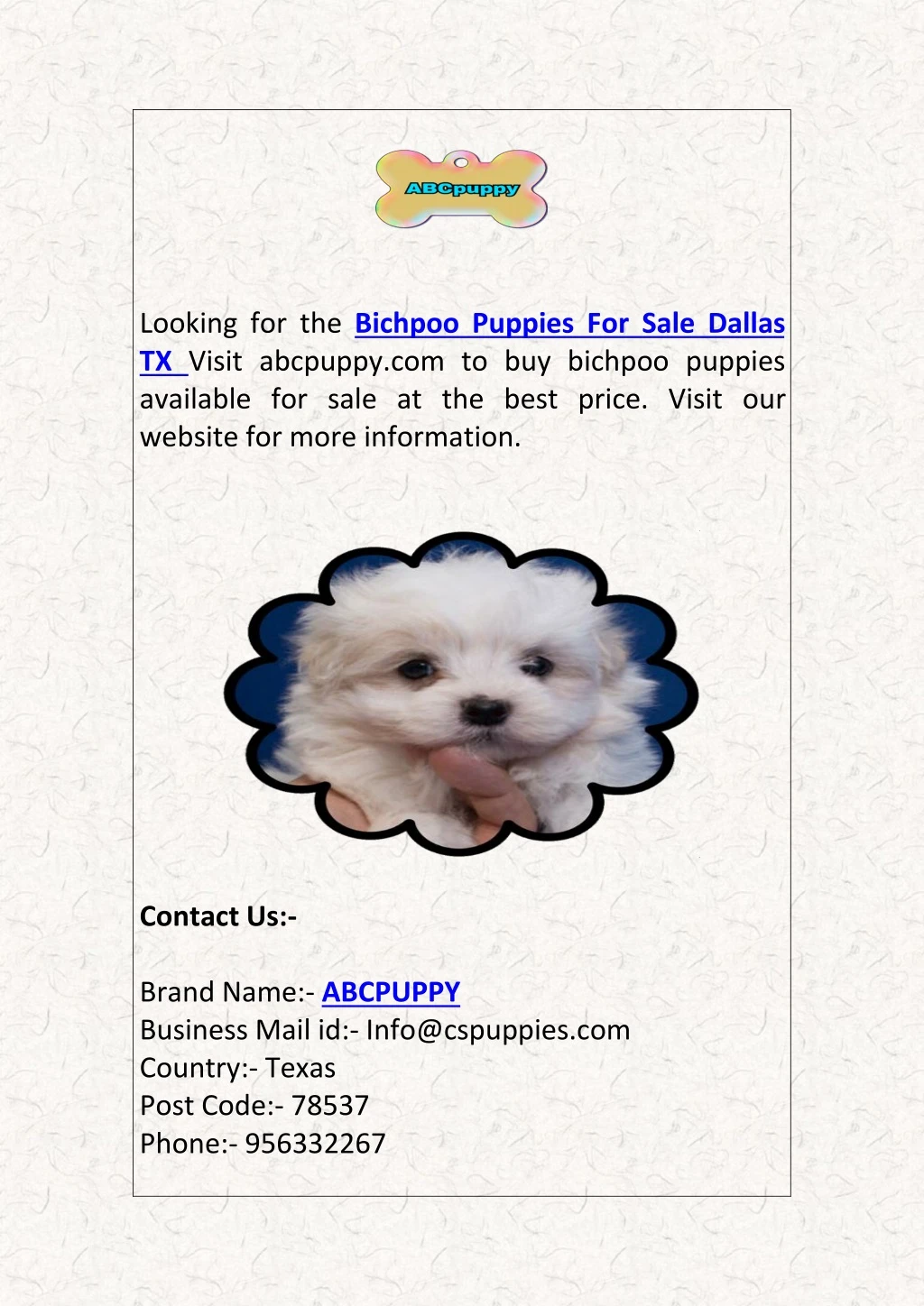 looking for the bichpoo puppies for sale dallas