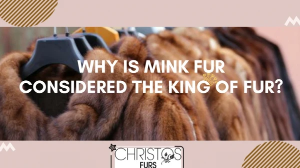 What Are the Reasons that Mink Fur Is Considered the King of Fur?