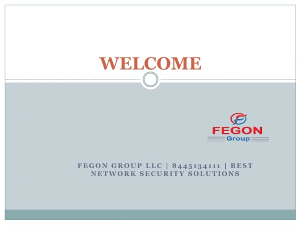 Fegon Group | Best Internet Security Solutions | 8445134111