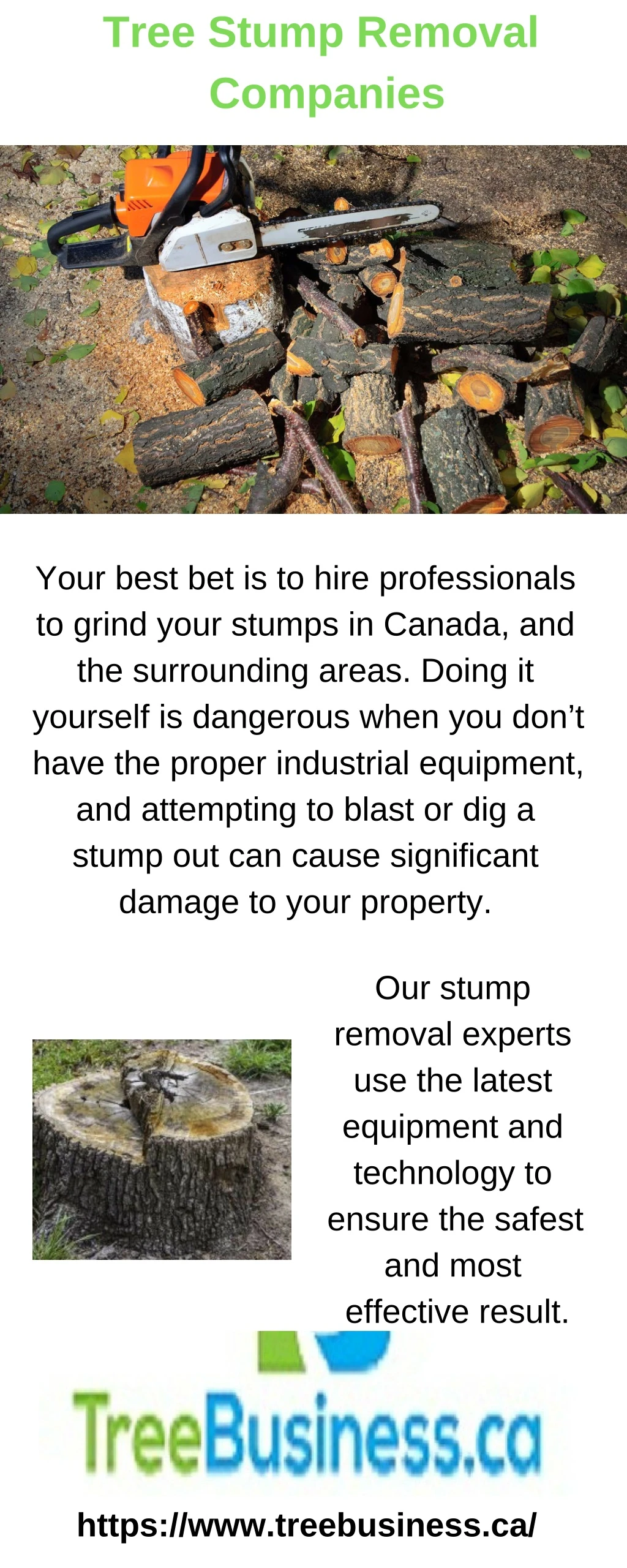 tree stump removal companies