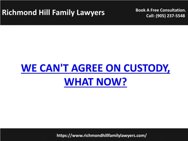 We Can't Agree On Custody, What Now? | Richmond Hill Family Lawyers