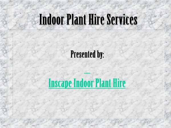 Best Indoor Plant Hire Services in Melbourne