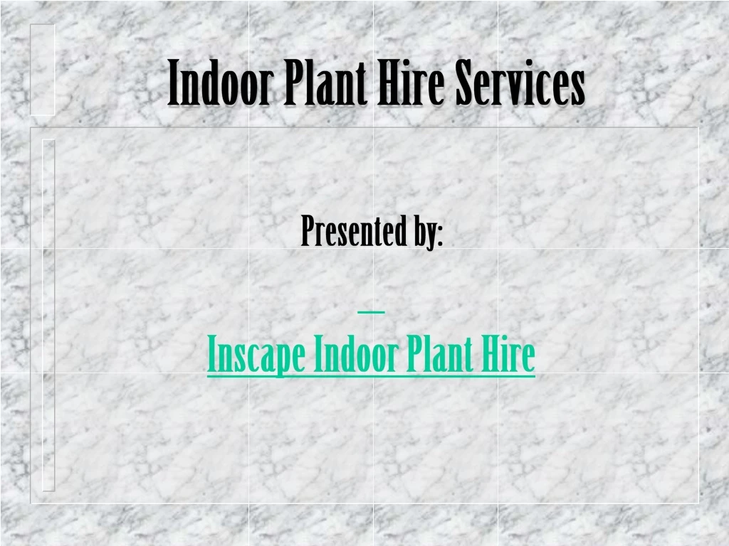indoor plant hire services