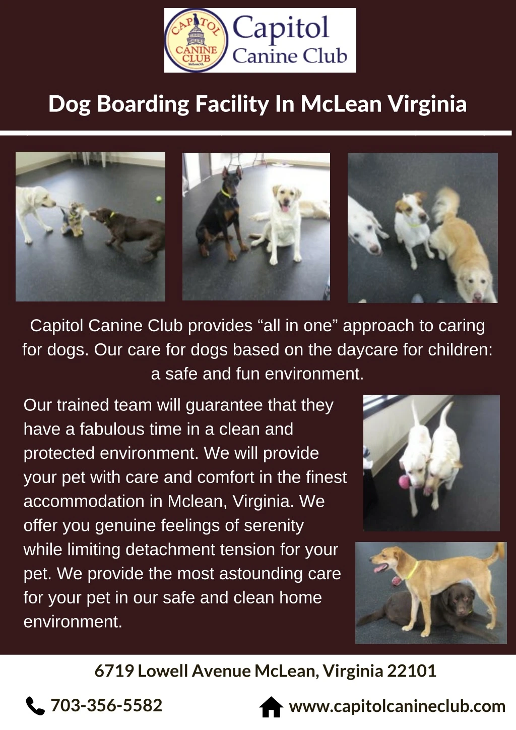 dog boarding facility in mclean virginia