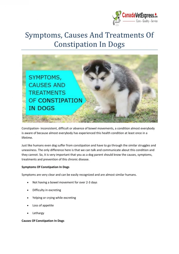 Symptoms, Causes And Treatments Of Constipation In Dogs