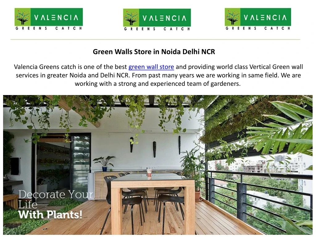 green walls store in noida delhi ncr