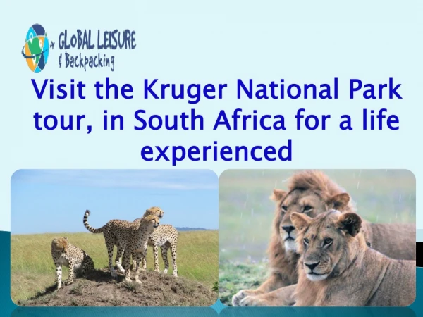 Visit the Kruger National Park tour, in South Africa for a life experienced