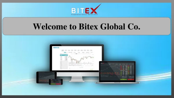 BitexPay Merchant App | Bitex Global Co.