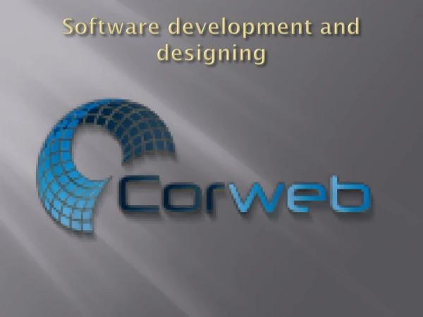 software development company in lahore