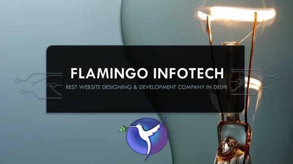 Flamingo Infotech - Best Website Development Company in Delhi