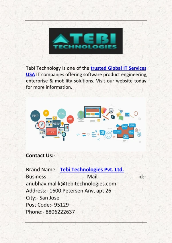 Trusted Global IT Services in the USA | Tebi Technology