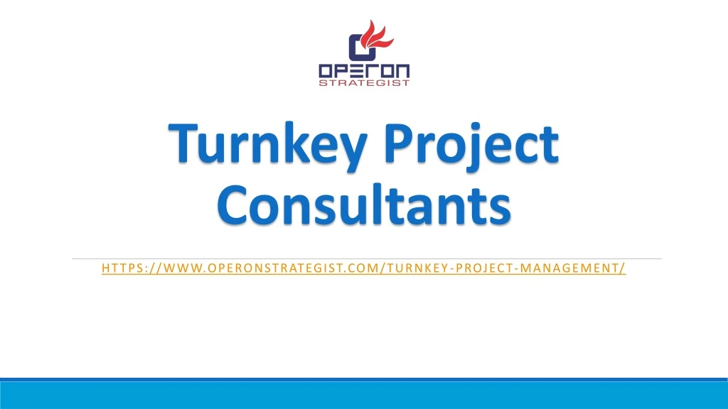 turnkey project consultants