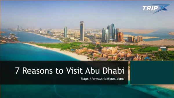 7 Reasons to Visit Abu Dhabi on your UAE visit!