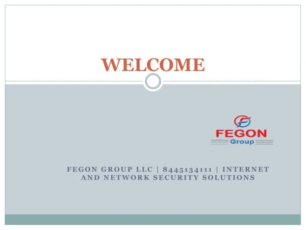Fegon Group | Internet Security Solutions | 8445134111