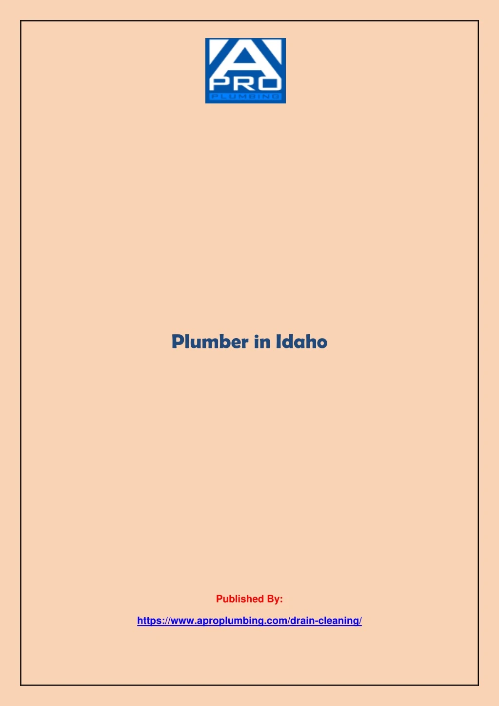 plumber in idaho