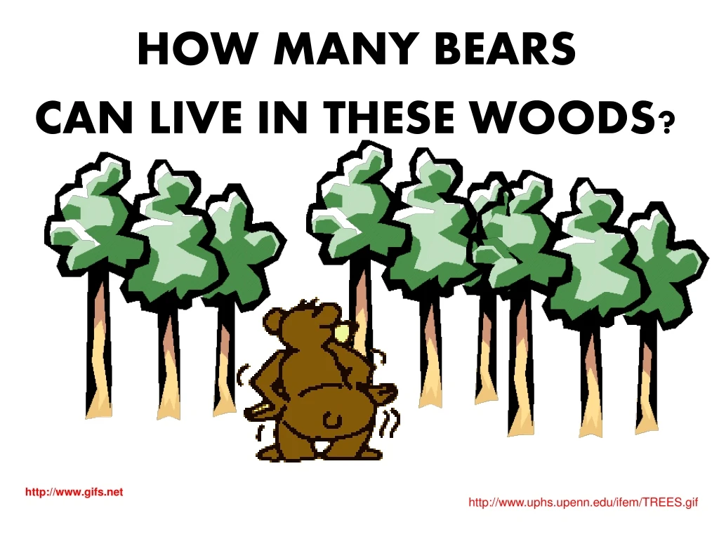 how many bears can live in these woods