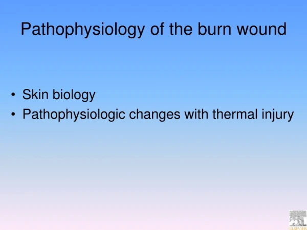 Pathophysiology of the burn wound